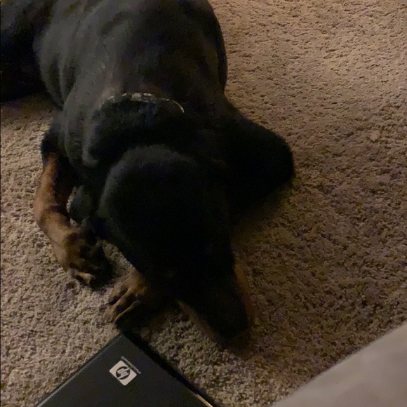 Meet your Posher, Sarah - Picture 1 of 1